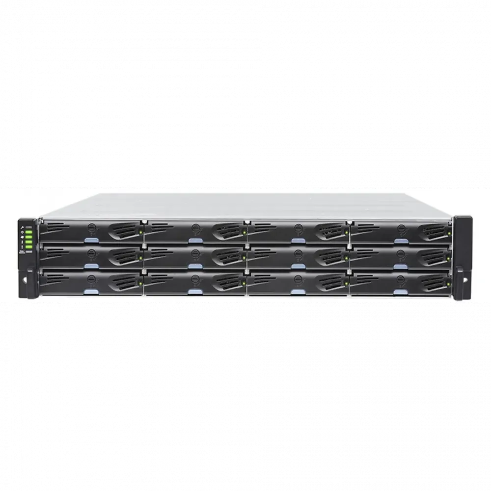 Система хранения данных Infortrend DS1012R2C-B Gen2