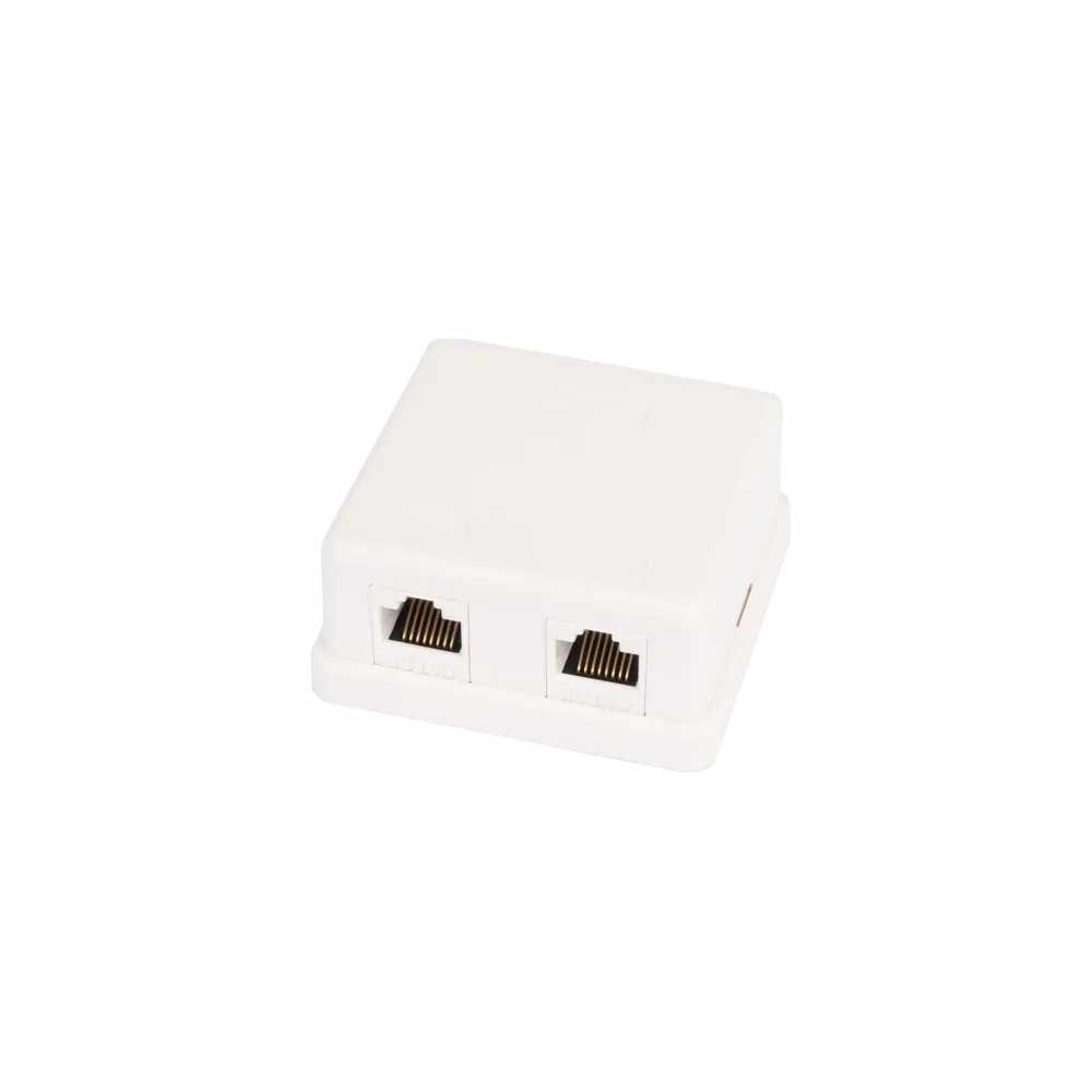 Настенная розетка NETLAN 2 порта RJ45 Кат.5e 100МГц белая (уп-ка 10шт)