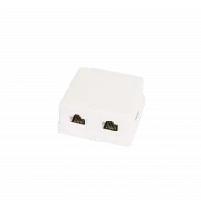 Настенная розетка NETLAN, 2 порта, Кат.5e (Класс D), 100МГц, RJ45/8P8C, 110, T568A/B, неэкранированная, белая, уп-ка 10шт.
