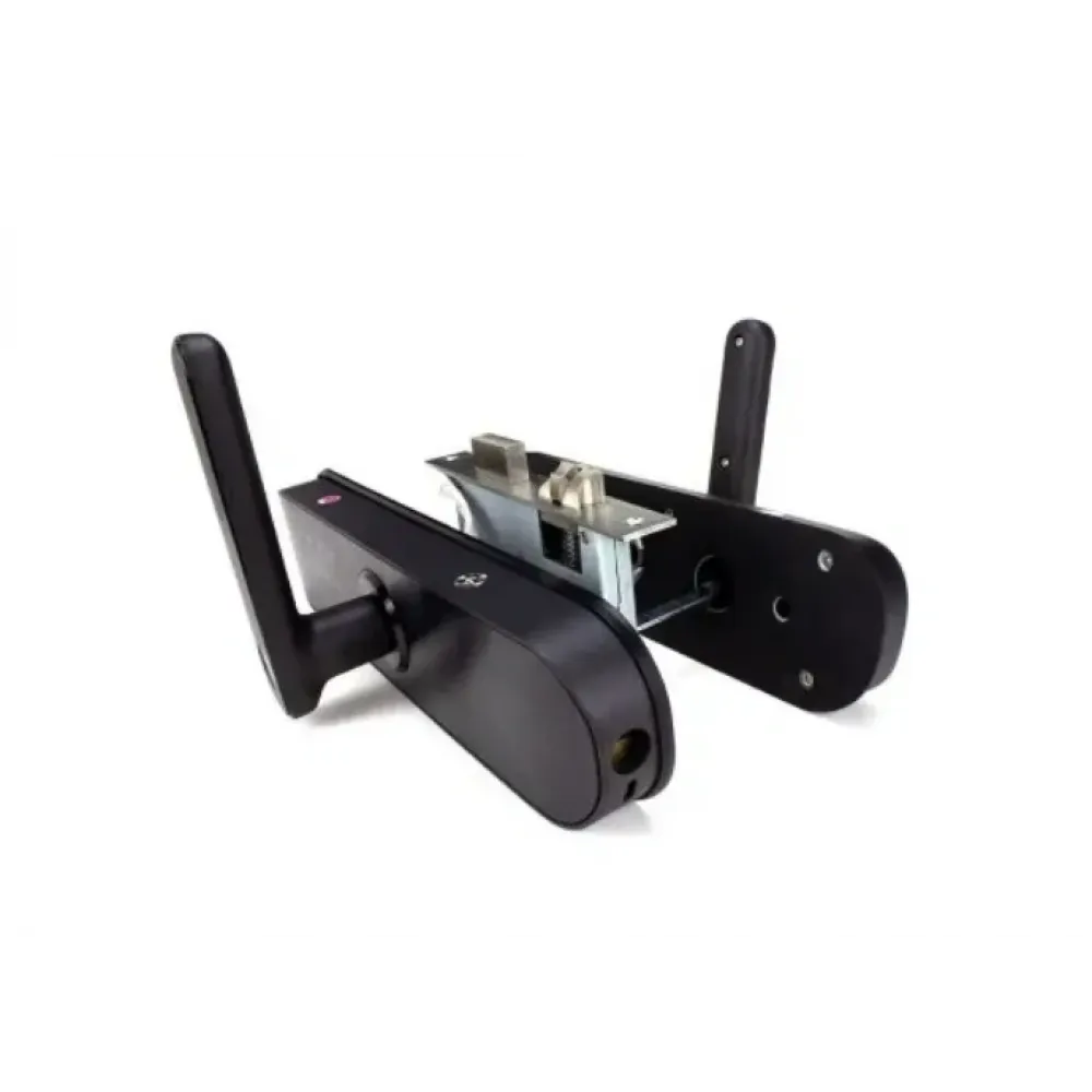 Дверной Wi-Fi замок Tuya Smart PST-E202 с отпечатком пальца, кодом и картой