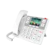 IP-телефон Fanvil X305 (белый, 2 аккаунта, цветной ЖК экран, Wi-Fi, PoE)