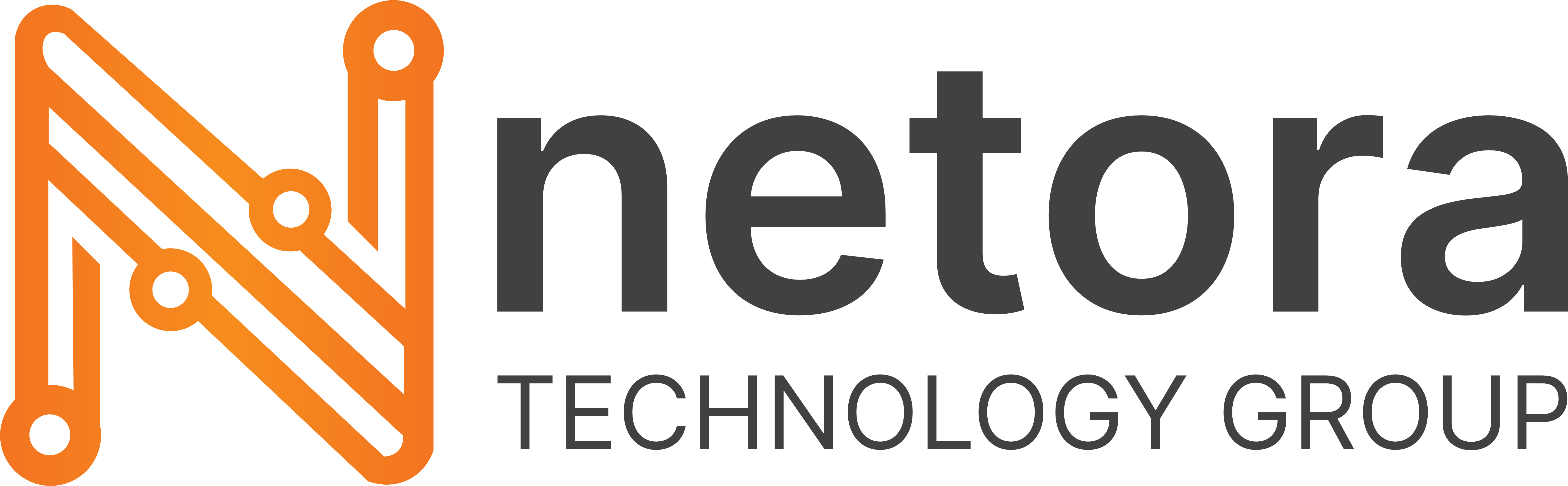 Netora - сетевое оборудование